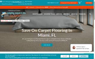 Dolphin Carpet & Tile of Aventura website