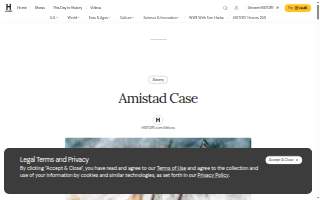 Amistad Insurance | Affordable Insurance Bradenton website