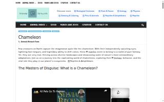 CHAMELEON PILATES of Bayshore Gardens website