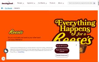 Reese Roberts Licensed Land Surveyors of Simsbury website