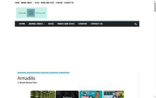 Armadillo Concrete, LLC website