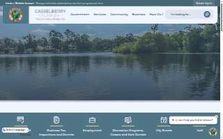 Casselberry Plumbing Services website