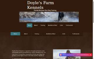 Doyle's Farm Kennels of Clermont website