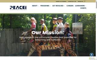 Peace of Mind Mental Health, Inc. website