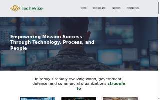TechWise website