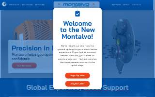 Montalvo Home Improvements Llc. website