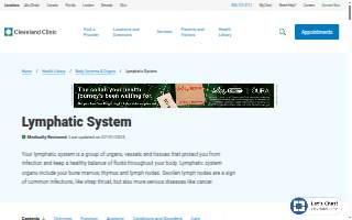 Lymphatic Massage of Florida website