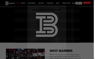 BARWIS MMA - Jiu-Jitsu & Wrestling website
