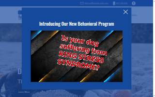 Full Stride Agility website