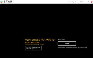 Star Security website