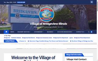 Bridgeview Chiropractic website