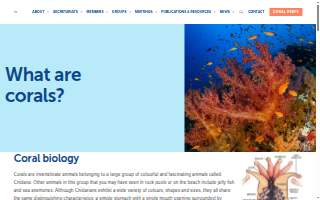 Coral Springs Appliance Center Inc website