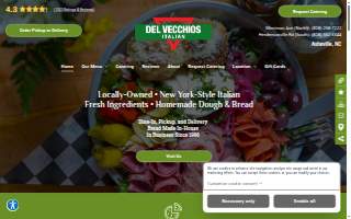 Delvecchio Web Design and Marketing website