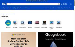 Laptop Repair Center of Boise website