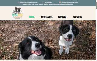 WiseDog Pet Care website