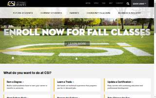 CSI CARGO,INC website