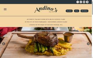 Andino Rene R MD website