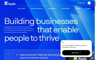 Ayala Law PLLC website