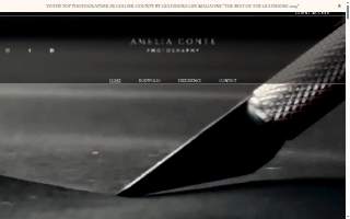 Amelia Conte Photography website
