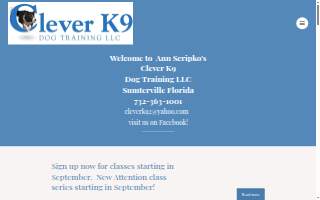Clever K9 Dog Training LLC website