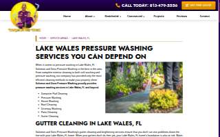 Solomon and Sons Pressure Washing website