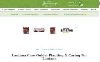 Lantana-Atlantis Animal Hospital website