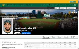 Ornelas Lawn and Yard maintenance website