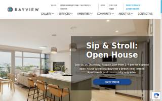 BayView Dental Associates website