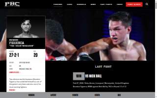 Figueroa Law Group, P.A. website