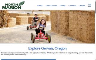 Visiting Angels - Senior Home Care in Westchase website