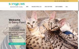 Savvy Paws Pet Resort website