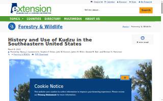 Kudzu Staffing Inc of Evans website
