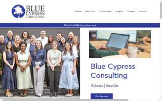 Blue Cypress Consulting, LLC website