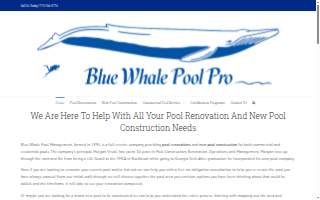 Blue Whale Pool Pro website