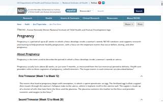Pregnancy Aid Clinic website