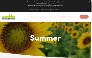 Burnside Law Firm LLP of Grovetown website