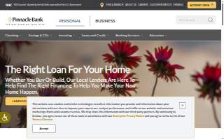 Pinnacle Pool Services of Johns Creek website