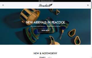 Brackish Beer Company website