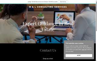 ML CONSULTING SERVICES website