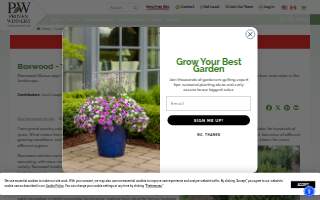 Boxwood Event Rentals website