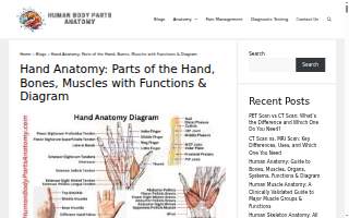 Hands You Demand of Mountain Park website