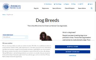 Dog Play Day Care - Pet Grooming, Training, & Boarding website