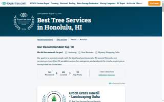 Serenitree Palm and Tree Services website