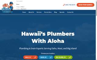 All Aloha Plumbing and Drain Cleaning Oahu website