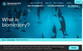 Biomimicry Hawai'i website