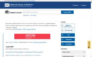 Mattoch & Kirley, LLLC website