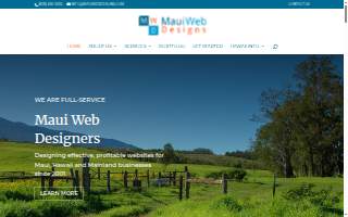 Maui Web Designs website