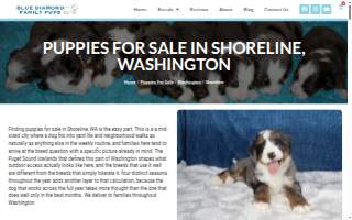 Pups groom. train. love. (formerly Dirty Paws) website