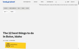 Boise Spine & Orthopedic Bracing website