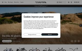 Canyon Kids Dental website